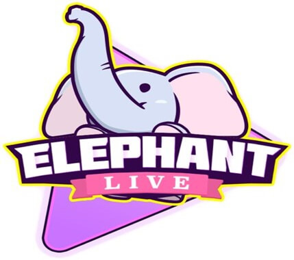 エレファントライブ-3