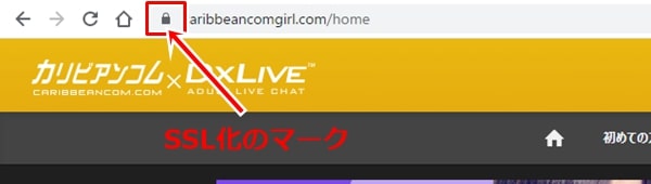 カリビアンコムガールの安全性